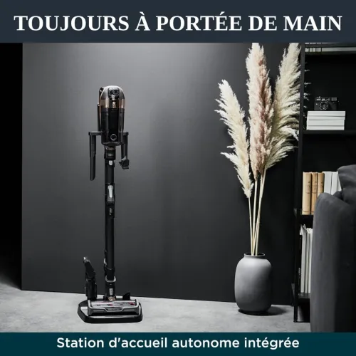 Aspirateur rowenta Xforce 15.60