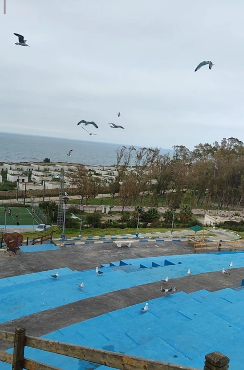 Vente Terrain Jijel El aouana