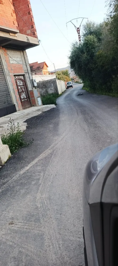 Location Blida Chebli
