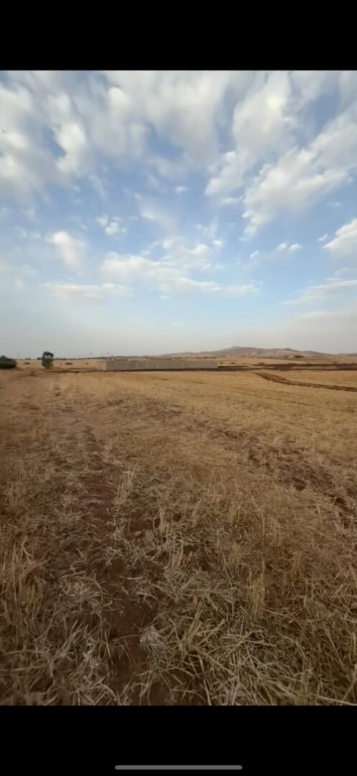 Vente Terrain Agricole Aïn Témouchent Hassasna 3
