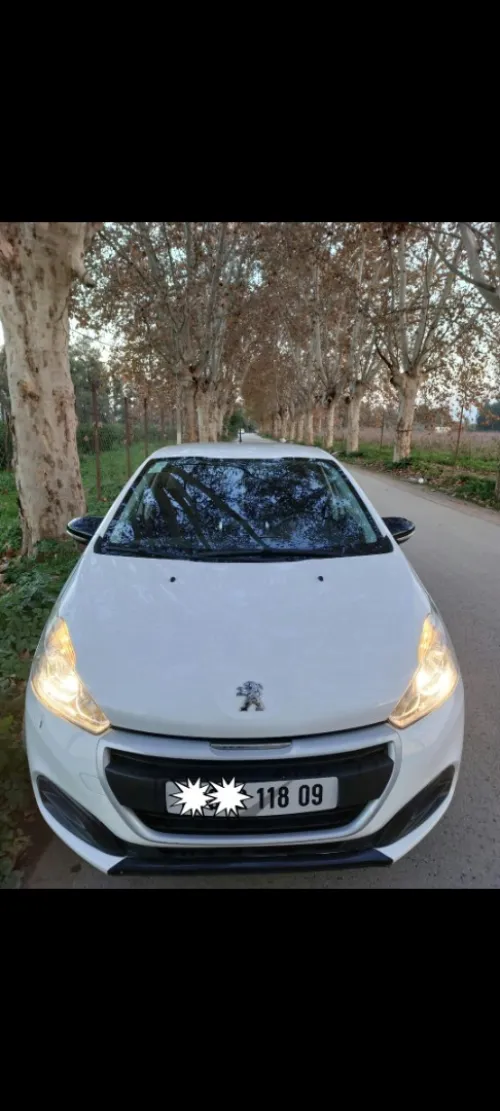 Peugeot 208 2018 Active Facelift