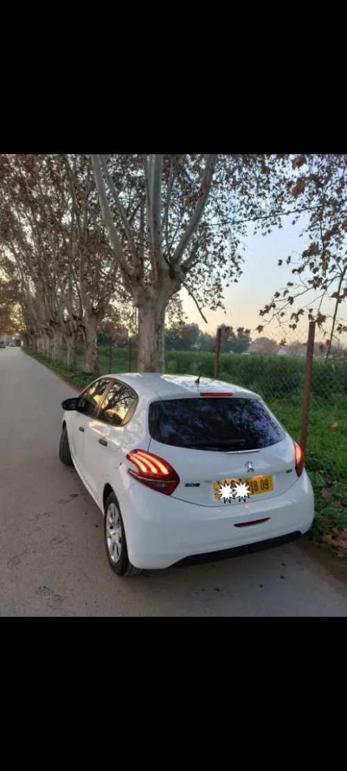 Peugeot 208 2018 Active