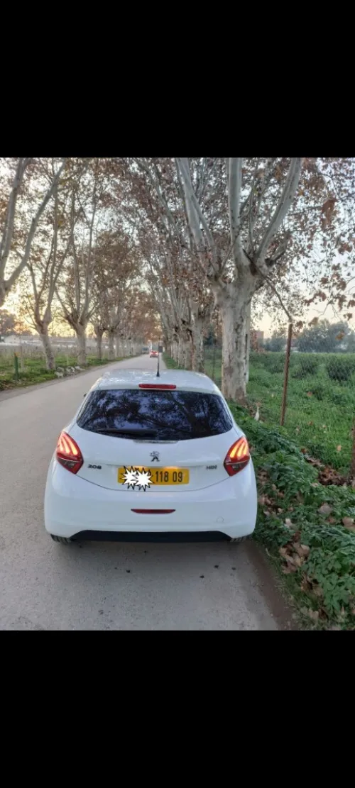 Peugeot 208 2018 Active
