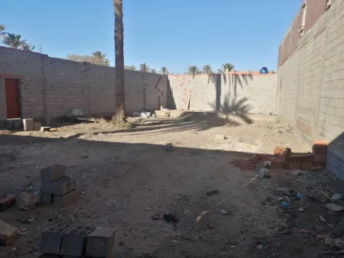 Vente Terrain Laghouat Laghouat