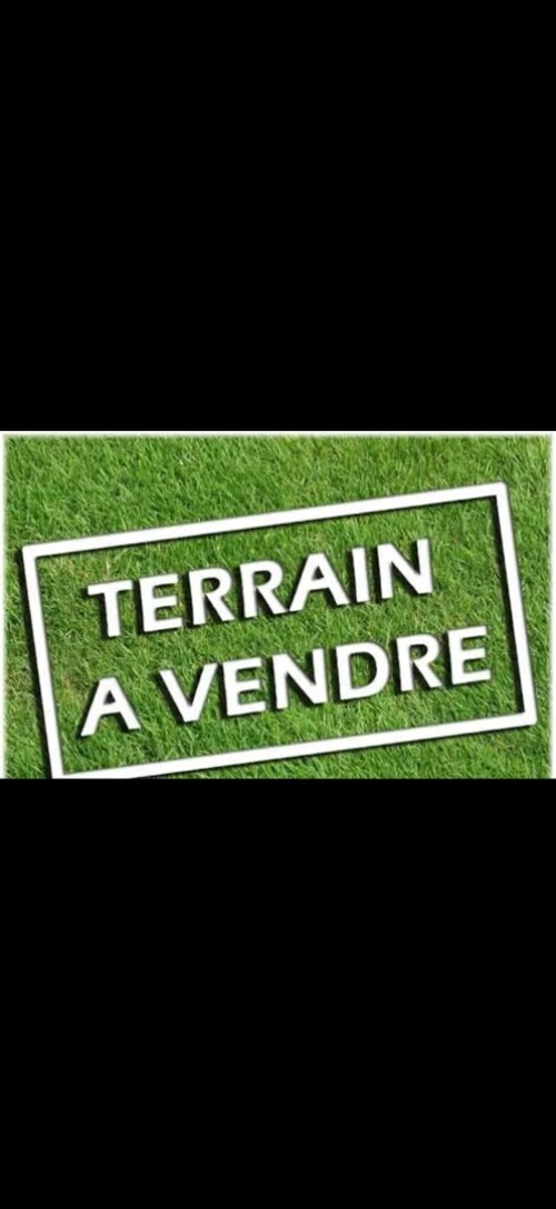 Vente Terrain Oran Bir el djir