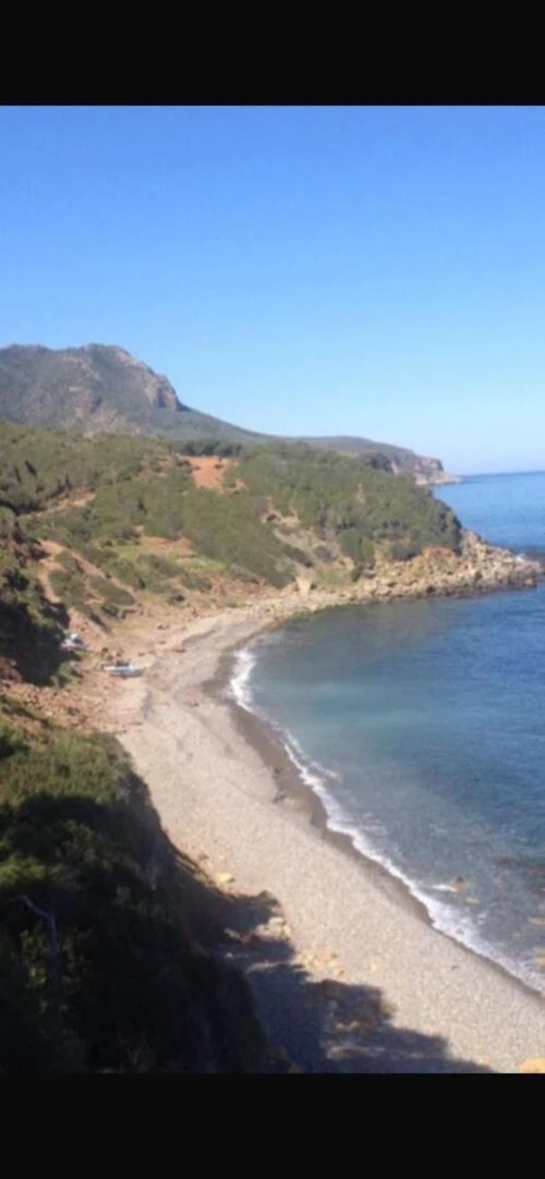 Vente Terrain Chlef Chlef