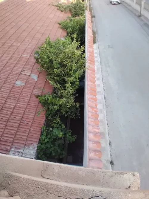 Vente Villa Batna Batna