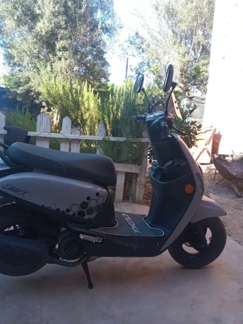 Vms Estate x 2021