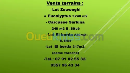 Vente Terrain Constantine Constantine