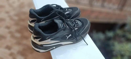 Puma RS