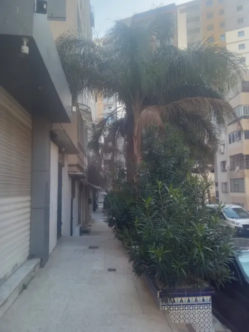 Location Appartement F4 Alger Said hamdine