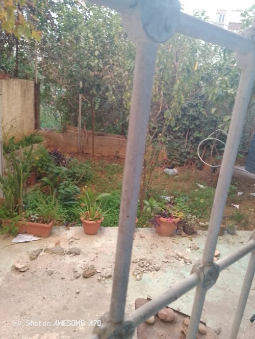 Vente Appartement F4 Alger Kouba
