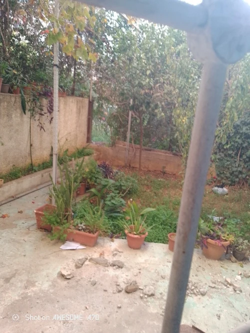 Vente Appartement F4 Alger Kouba