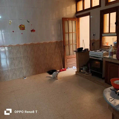 Vente Villa Tiaret Tiaret