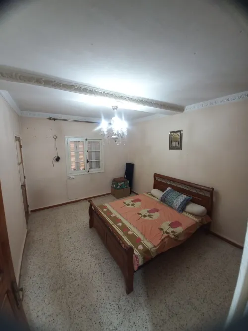 Vente Appartement F3 Chlef Chlef