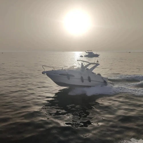 Rio 750 cruiser 2006