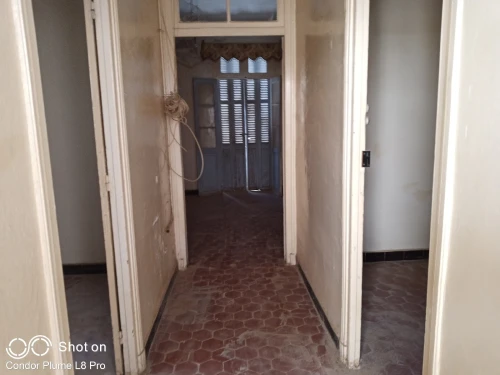 Vente Immeuble Tlemcen Tlemcen