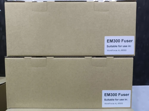 Four Epson M300