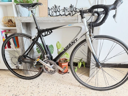 Vélo géant tout carbone