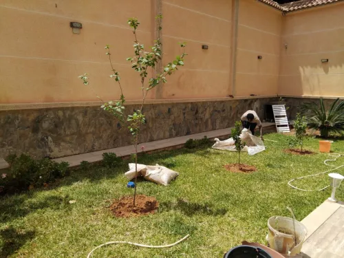  Aménagement Des Espaces Verts, desherbage elagage