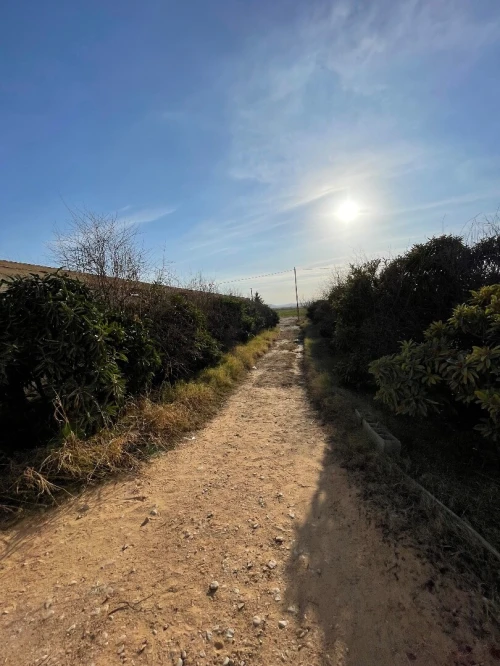 Vente Terrain Agricole M'Sila Bou saada