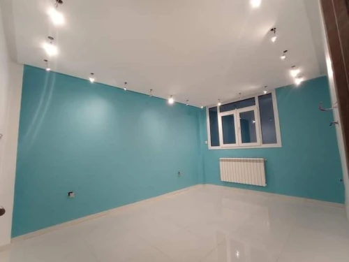 Peintre Professionnel