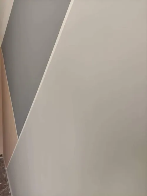 Peintre Professionnel