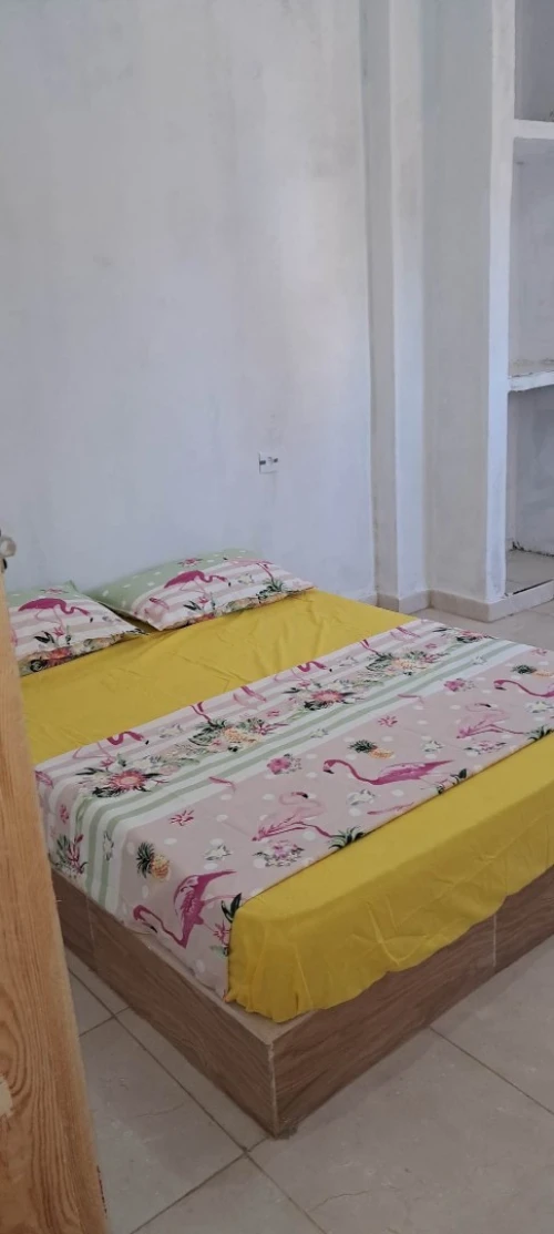 Location vacances Appartement Ain temouchent Terga