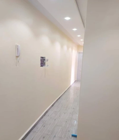 Peintre Professionnel