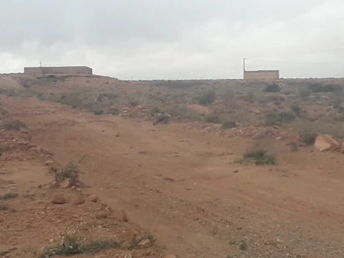 Vente Terrain Agricole Djelfa Ain el ibel