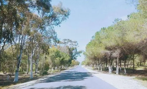 Location vacances Niveau De Villa F3 Mostaganem Sidi lakhdaara
