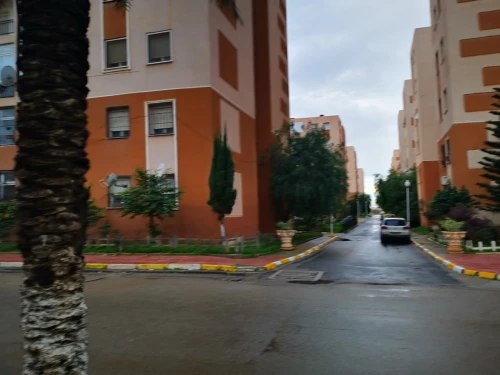 Location Local Alger Reghaia