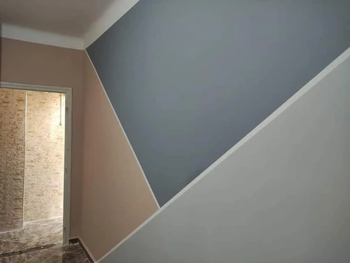 Peintre Professionnel