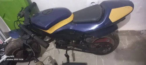 Mini moto Sport 2014