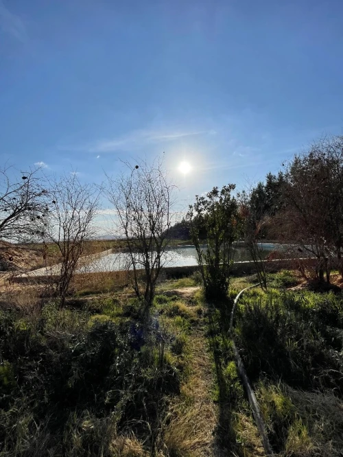Vente Terrain Agricole M'Sila Bou saada