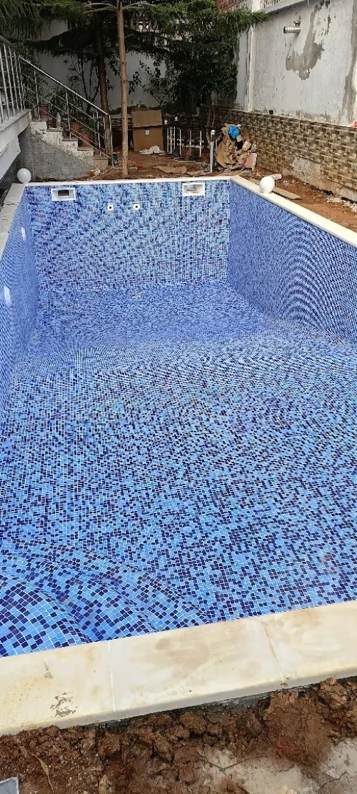 Pisciniste