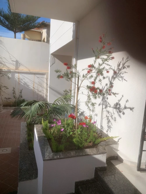 Vente Villa Alger Hraoua