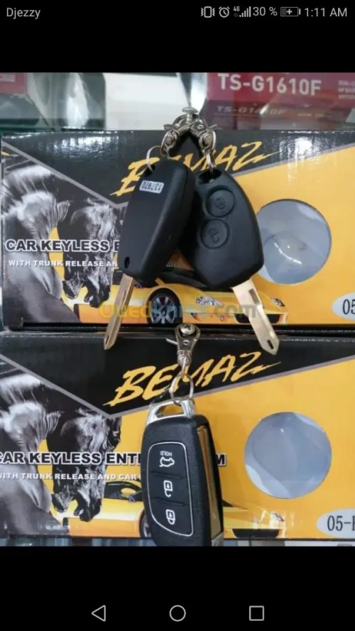 Électricité auto alarme 