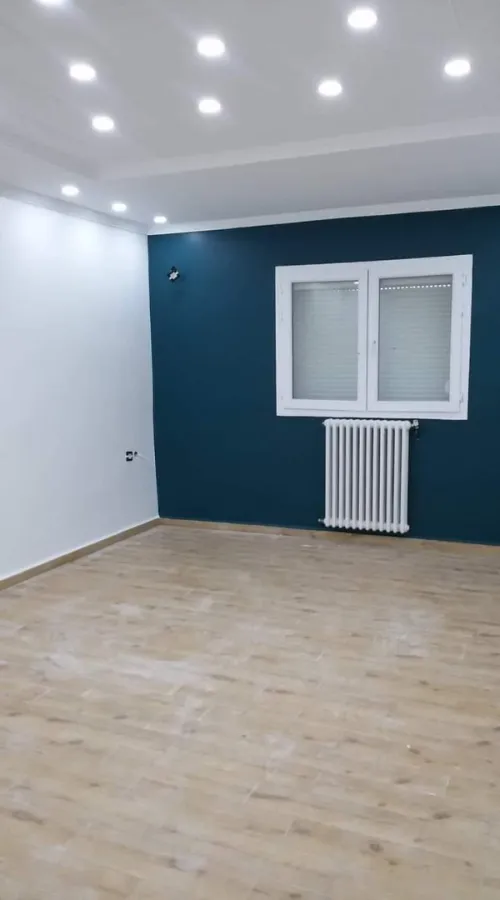 Peintre Professionnel
