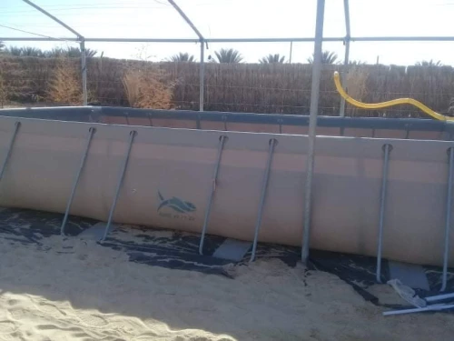 Bassin poisson احواض سمكك