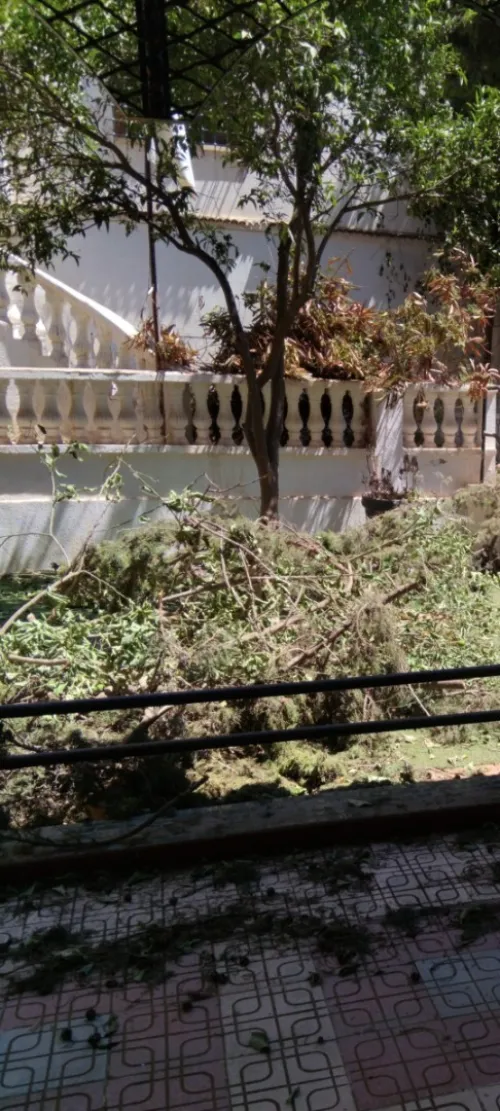  Aménagement Des Espaces Verts, desherbage elagage