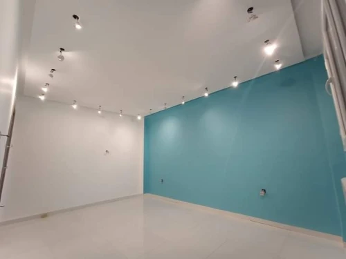 Peintre Professionnel