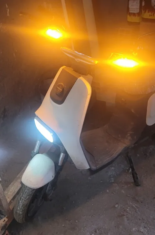 MIMEBOT TTMAX 2025