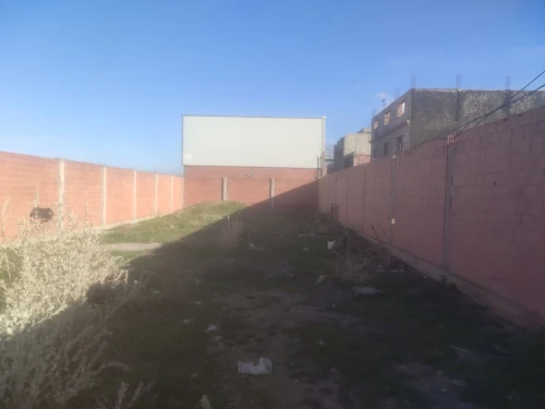 Location Hangar Alger Birtouta