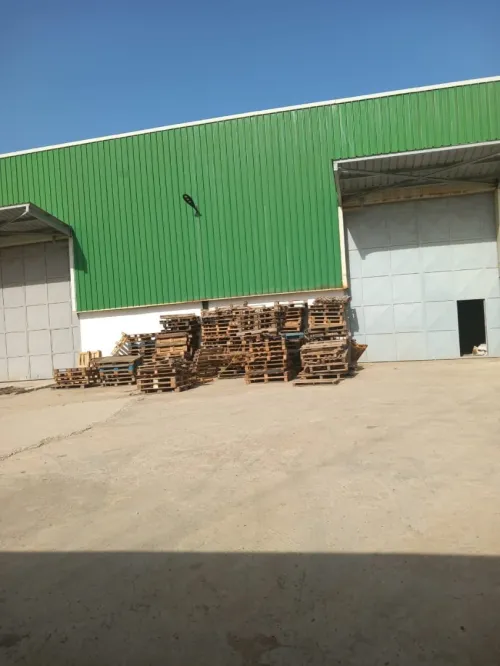 Location Hangar Alger Ouled chebel