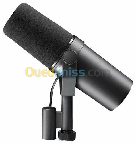 Micro Shure SM7B  