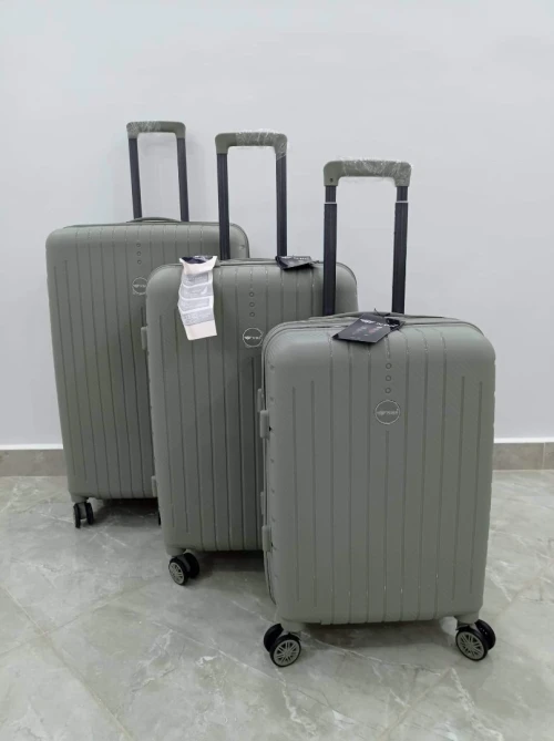 Valise de luxe 