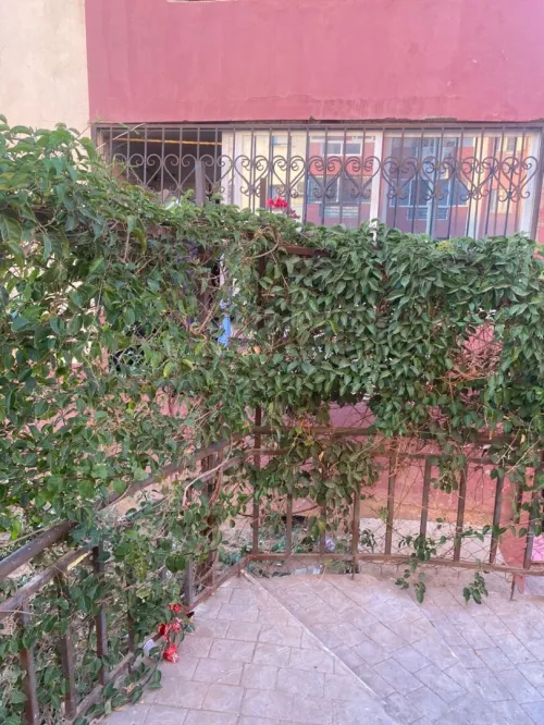 Vente Appartement F3 Alger Ain benian