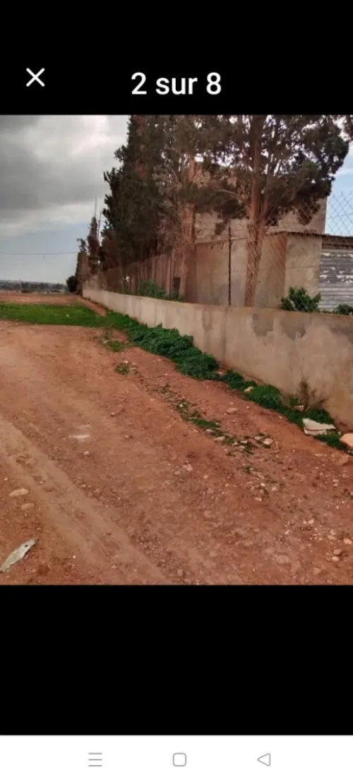 Vente Terrain Agricole Oran Boutlelis