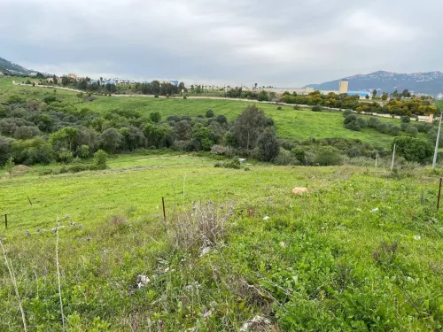 Vente Terrain Tizi Ouzou Beni aissi